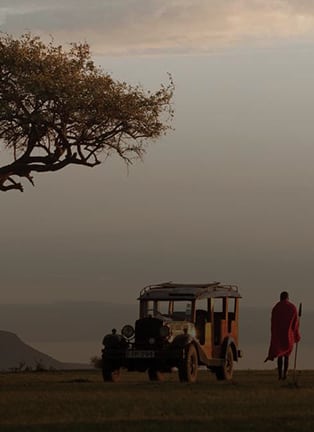 The Best Safari Honeymoon Destinations