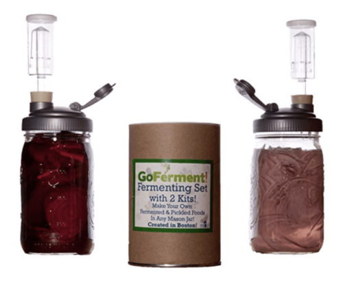 fermentation kit